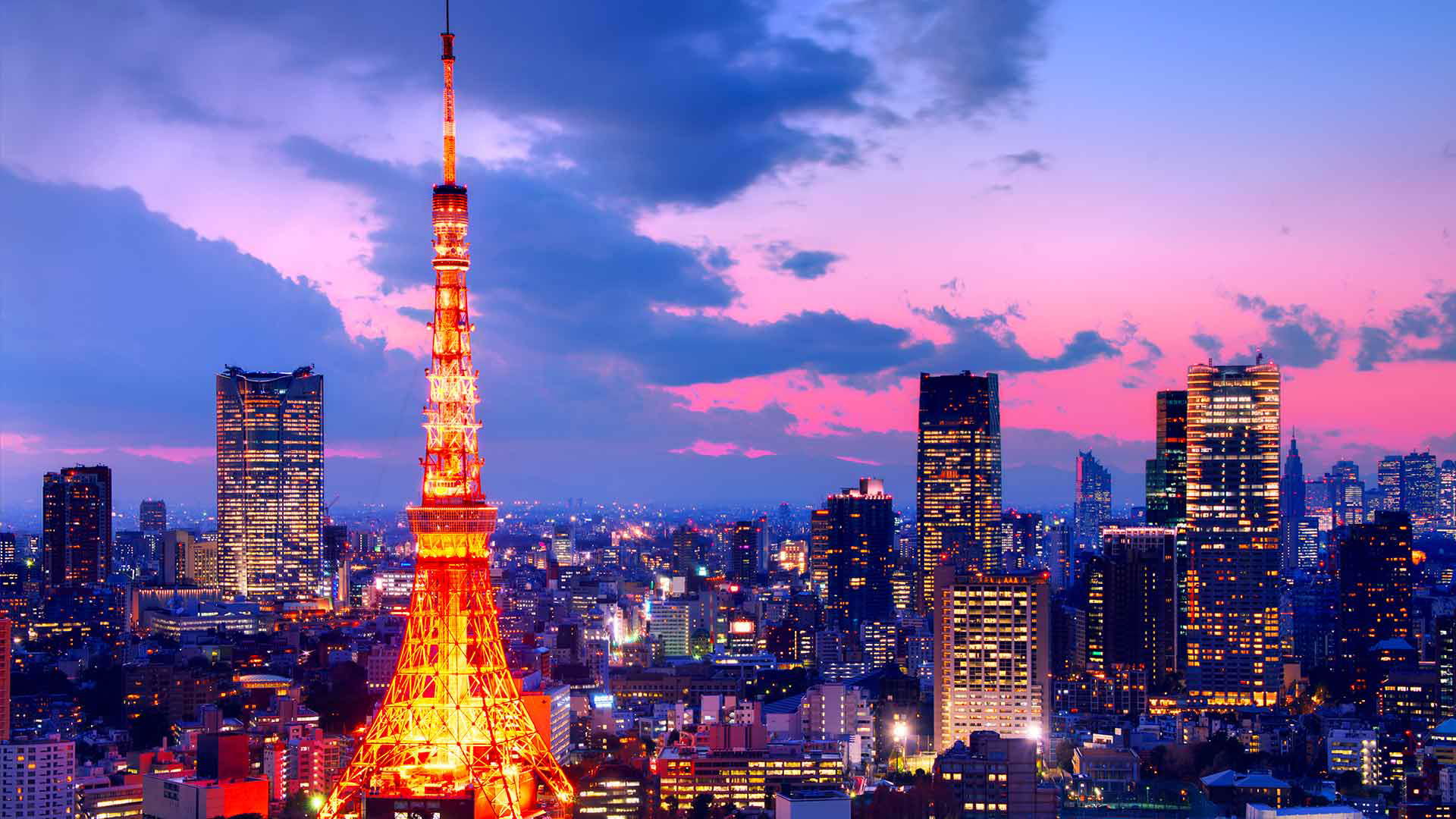 Tokyo Tower, Tokyo Tickets Tours 2024, 60% OFF