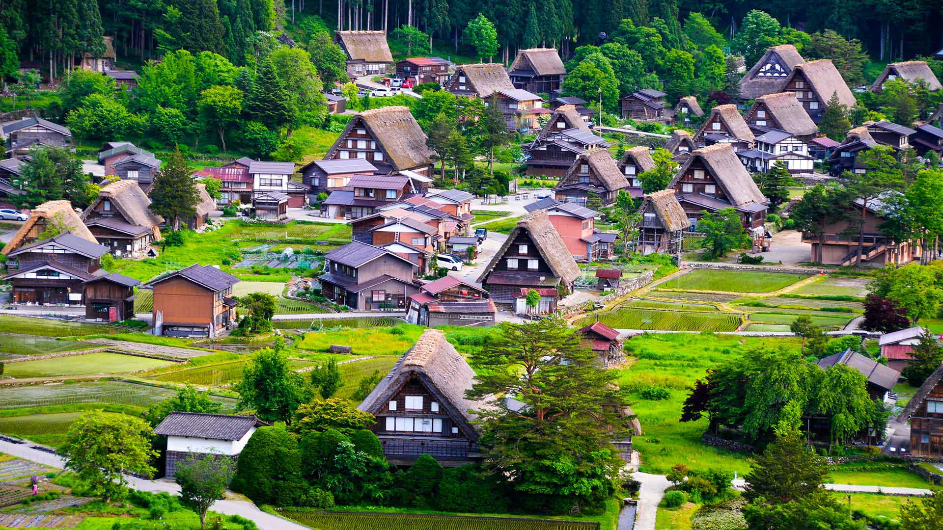 Image Slider