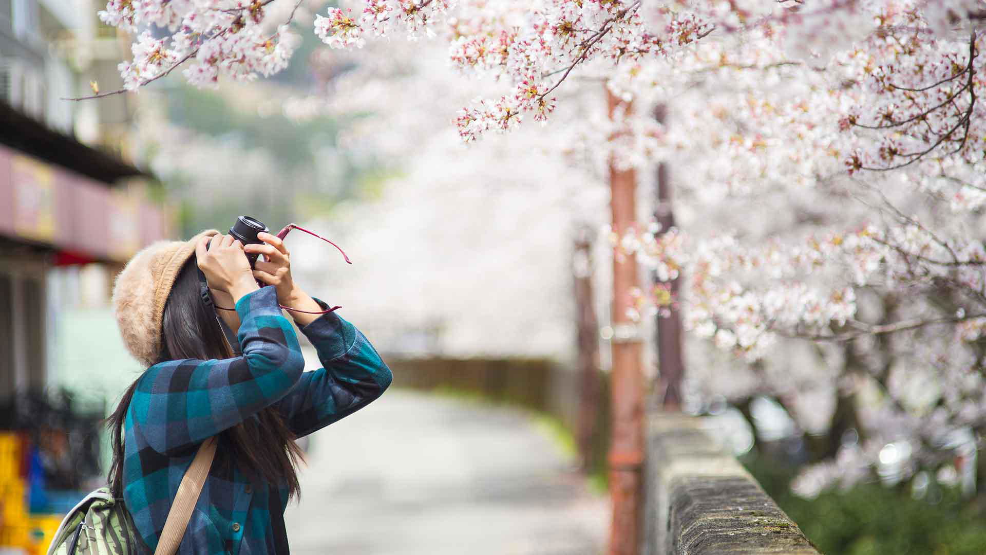 Image Slider