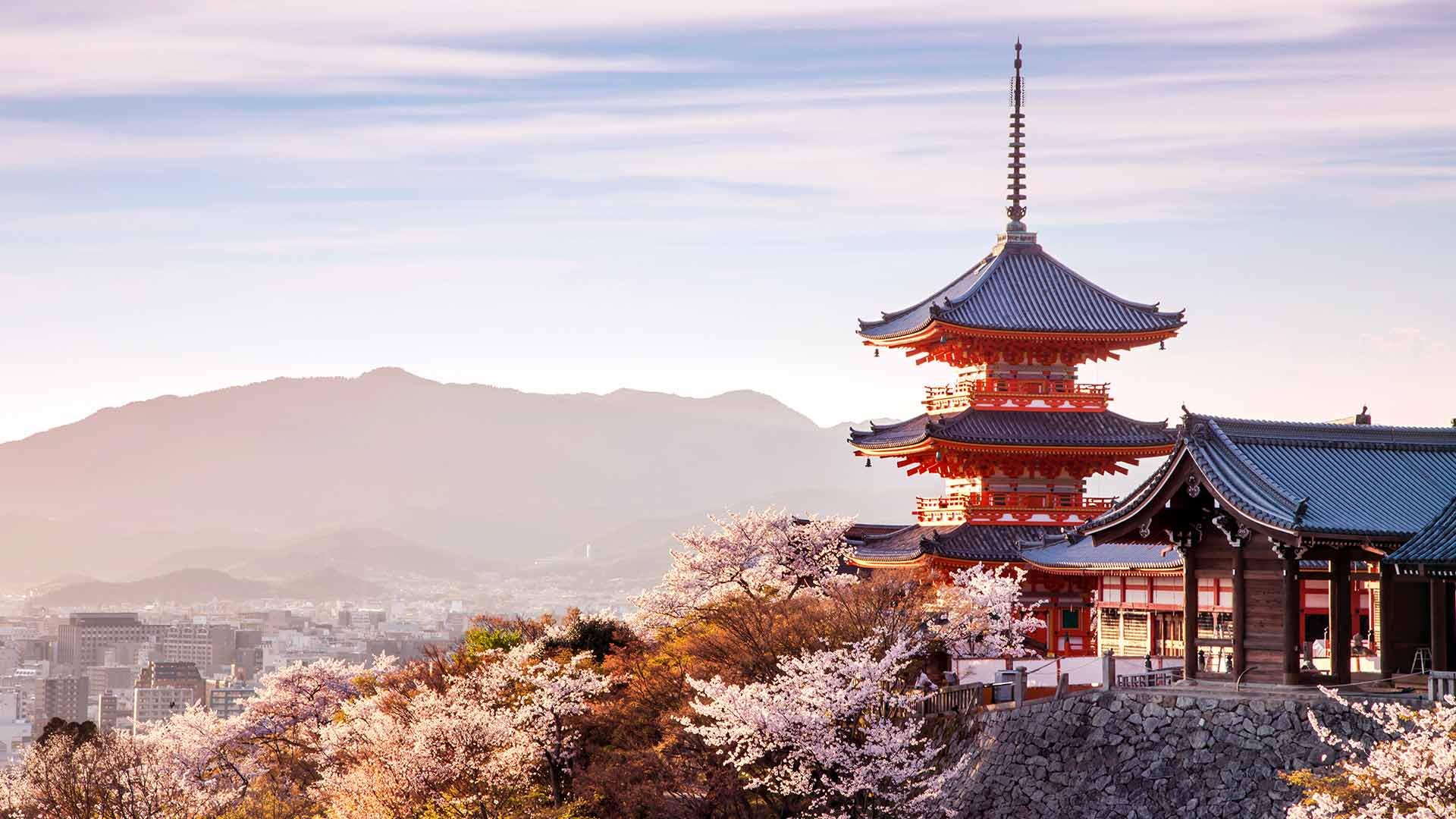 Where to See Cherry Blossoms in Kyoto | byFood