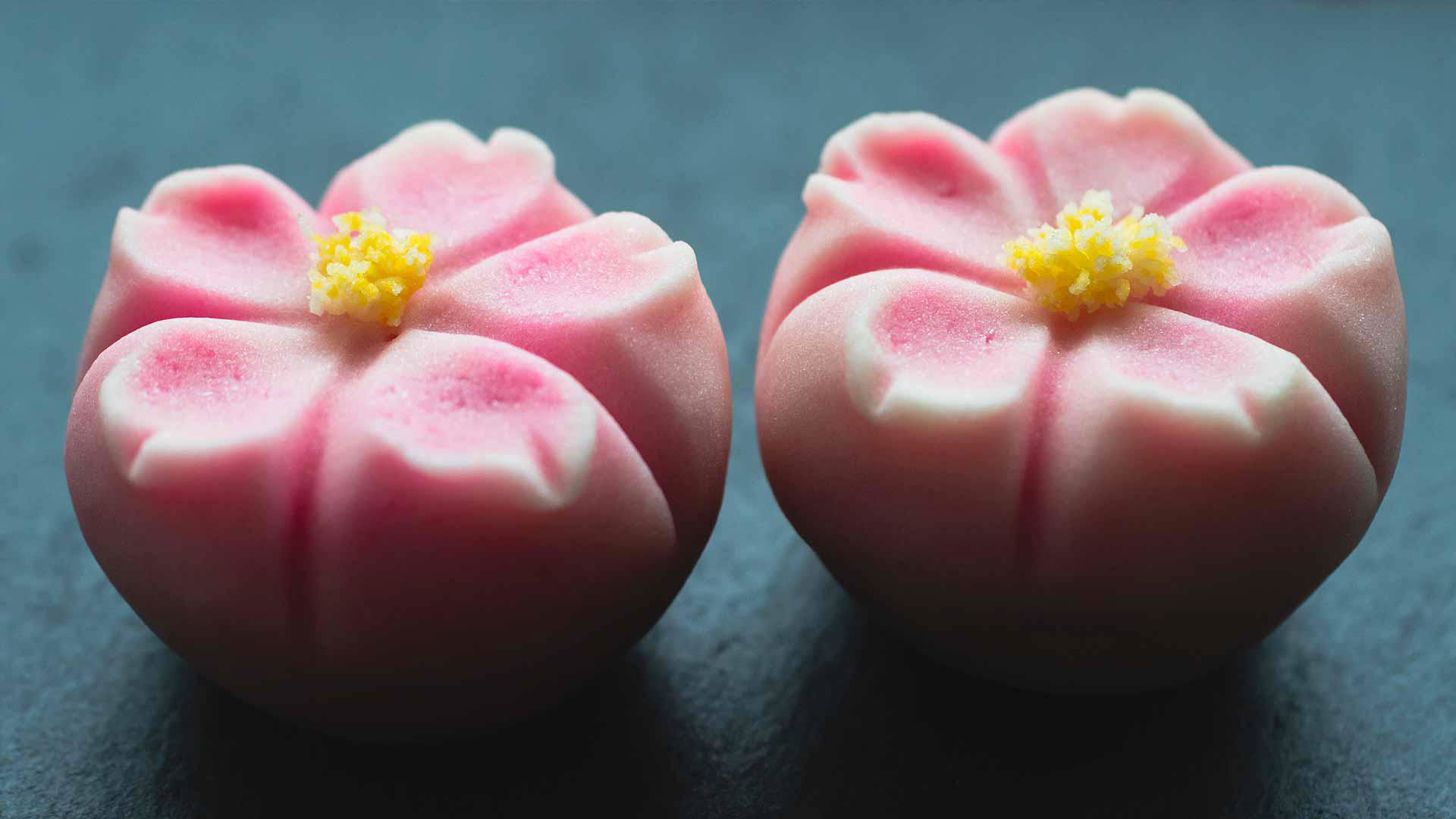 Pink sakura wagashi with yellow centers on dark background